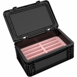 Feldherr Juego de espuma ESD + Euro Box con 10 compartimentos para discos duros externos de 2,5 pulgadas
