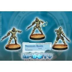 HAQQISLAM - hHASSASIN BARID (HACKER)