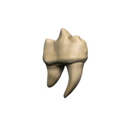 Dungeons - Dragons: Teeth of Dahlver-Nar Bite-Sized Artifact