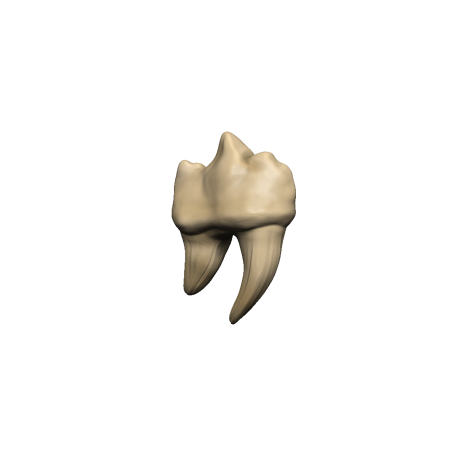 Dungeons - Dragons: Teeth of Dahlver-Nar Bite-Sized Artifact