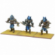 Kings of War: Empire of Dust Enslaved Guardian Regiment (Inglés)
