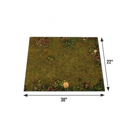 e-Raptor Wargaming grounds - Tavern - Houses