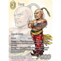 Final Fantasy TCG - Promo Bundle March 2022 (80 cards) (English)