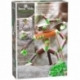 Terra Kids Connectors- Construction Set Figures