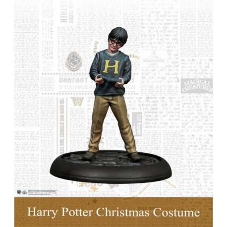 Harry Potter Christmas Costume - Harry Potter Miniatures Adventure Game