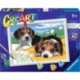 Creart D - Jack Russel Puppies