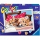 Creart D - Kittens On The Pillow