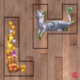 Die Insel der Katzen - Promo Pack 1 (Alemán)