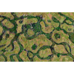 Kraken Wargames Gaming Mat - Forsaken Swamp 44x60