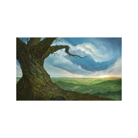 Kraken Wargames Playmats - Forest