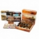 e-Raptor Insert Terraforming Mars with all expansions UV Print