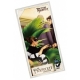 Picture Perfect Pickpocket Expansion (English)