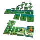 In Amazonia, players compete to create the most abundant tropical forest over 3 rounds.