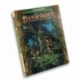 Pathfinder Kingmaker Companion Guide (P2) (English)