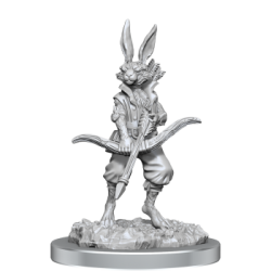 D&D Nolzur's Marvelous Miniatures: Paint Kit - Harengon (English)