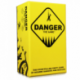 Danger The Game (Inglés)