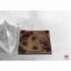 Conquest Elrik's:Slate Bases - Monster (Inglés)
