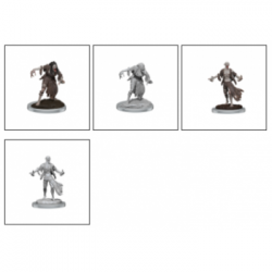 D&D Nolzur's Marvelous Miniatures: Nosferatu (2 Units) (English)