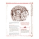 Role-playing game The One Ring 2nd ed. by Devir