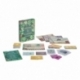 House of Plants: The Card Game (English)