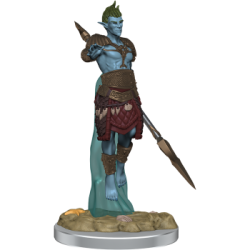 D&D Nolzur's Marvelous Miniatures: Sea Elf Fighters (2 Units) (English)