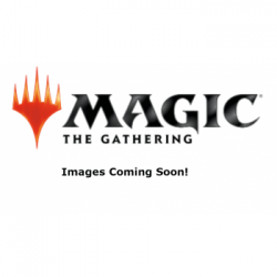 Magic: The Gathering Unpainted Miniatures Wave 6: Retail Reorder Cards (Inglés)