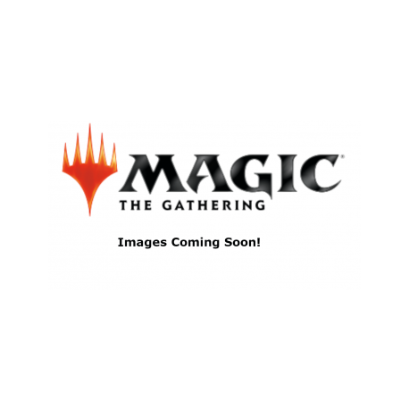 Magic: The Gathering Unpainted Miniatures Wave 6: Retail Reorder Cards (English)