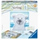 String it Midi Orso polare e orso lavatore
