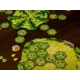 Juego de mesa Applejack de Maldito Games