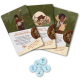 Board game Adventures and Landscapes of Nouvelles Contrees