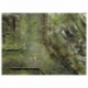 Bandua - KT Playmat with Deployment Zones 22"x30" Imperial City Jungle 4