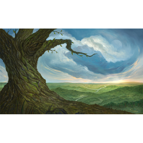 Kraken Wargames Playmats - Forest