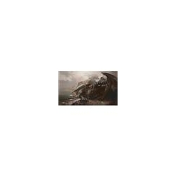 Kraken Wargames Playmats - Wolf & Dragon