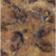 Kraken Wargames Gaming Mat - Havoc Desert 3x3 Gaming Mat 2.0