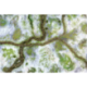 Kraken Wargames Gaming Mat - Snow Valley 44"x60" Gaming Mat