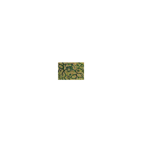 Kraken Wargames Gaming Mat - Forsaken Swamp 44"x30"