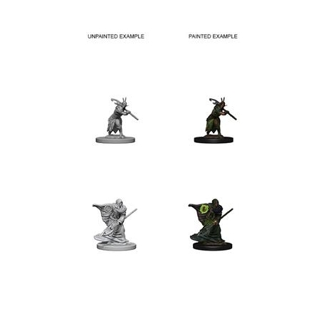D&D Nolzur's Marvelous Miniatures - Elf Male Druid (2 Units)