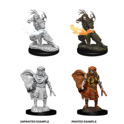 D&D Nolzur's Marvelous Miniatures: Male Human Druid (6 Units)