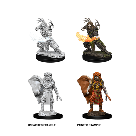 D&D Nolzur's Marvelous Miniatures: Male Human Druid (6 Units)