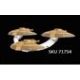 Star Trek: Attack Wing Hideki-Class Attack Squadron Pack (Inglés)