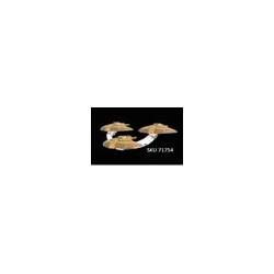 Star Trek: Attack Wing Hideki-Class Attack Squadron Pack (English)