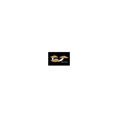 Star Trek: Attack Wing Hideki-Class Attack Squadron Pack (Inglés)