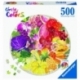 Circle of colors 500 pz: Fruits and Vegetables