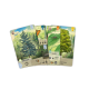 Forest Shuffle board game from Lookout Games