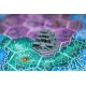 Mosaic Colossus Edition board game from Arrakis Games