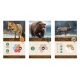 Cascadia Landmarks Board Game in English by Alderac Entertainment Group