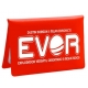 EVOR es un juego de puzzle espacial en solitario de Salt and Pepper Games