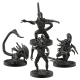Board game Aliens: Express to Hell of Battlefront Miniatures