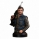 Star Wars Rogue One Busto 1/6 Cassian Andor 15 cm