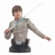 Star Wars Episode V Busto 1/6 Luke Skywalker 15 cm